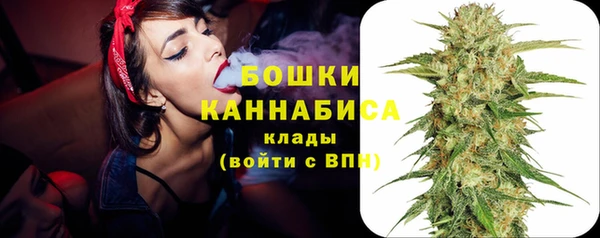шишки Вязники