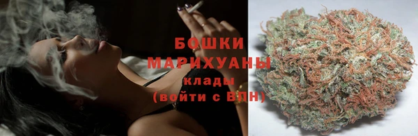 шишки Вязники