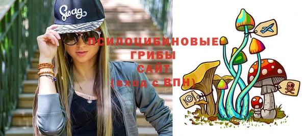 шишки Вязники