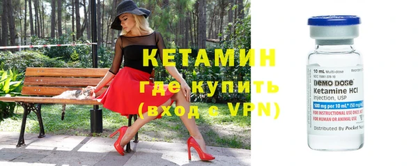 шишки Вязники