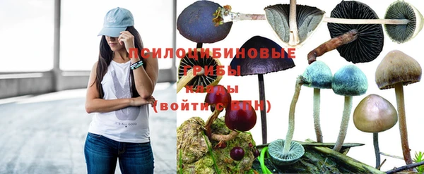 шишки Вязники