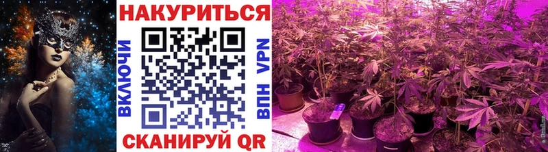 Купить  Новосокольники  Конопля AK-47 